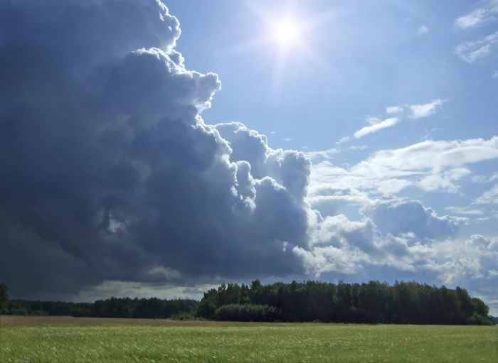 Storm clouds and blue sky over a crop of trees on the horizon