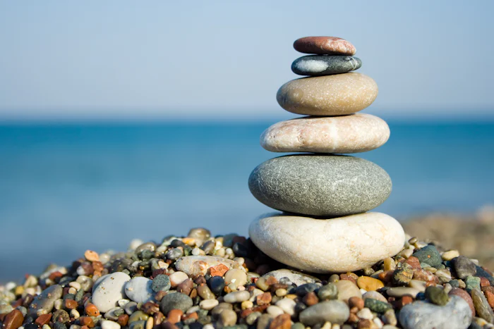 Dealing with Stress: 2 Steps to Create Harmony and Balance