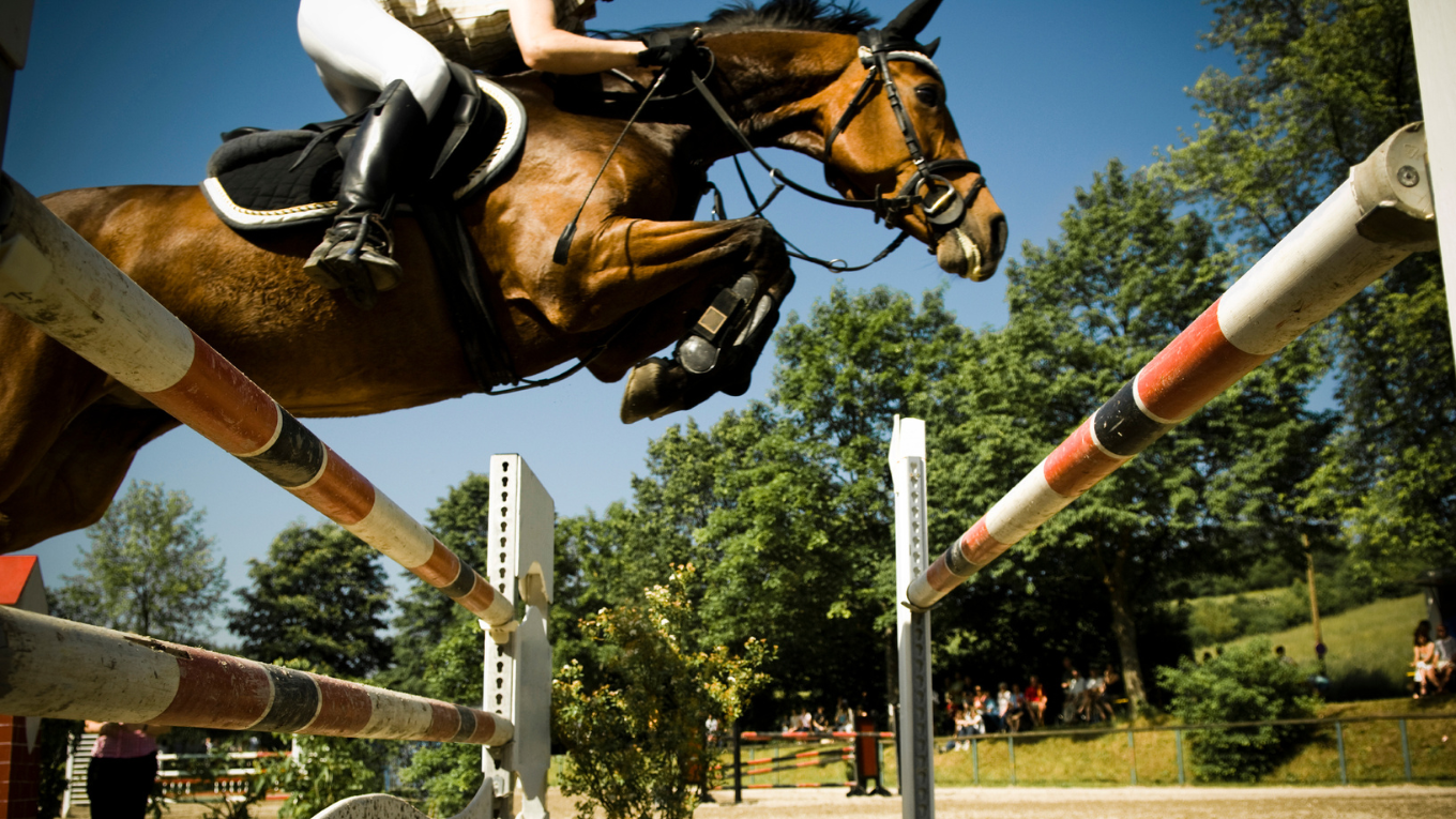 A jockey rides a brown horse as it jumps over a hurdle.