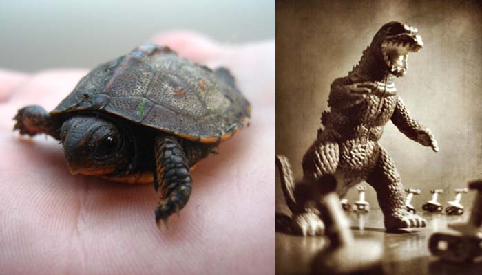 Achieving Culture Change in Your Organisation 2