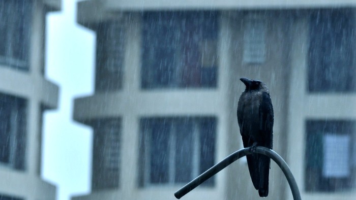Crow perched on metal bar in the rain in front of a building
