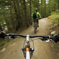 problem solving 8d process Article a9h7syi