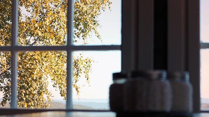 Autumn light through window