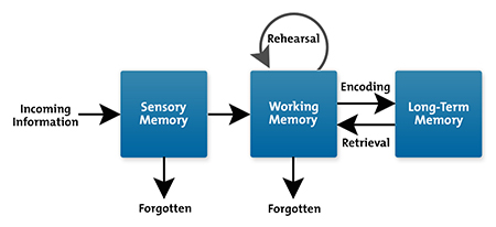 Information process model with online reference to cognitive development