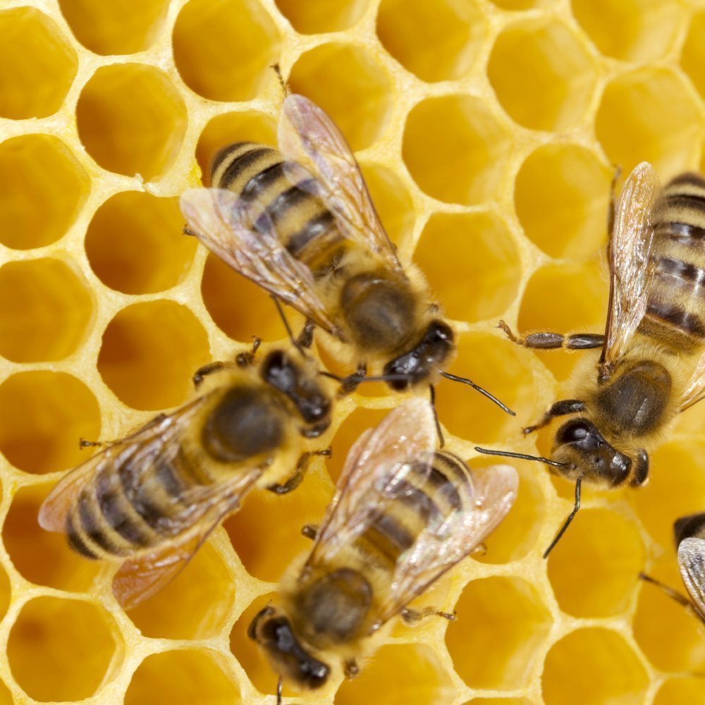 Collaboration: How Leaders Avoid the Traps, Create Unity, and Reap Big Rewards