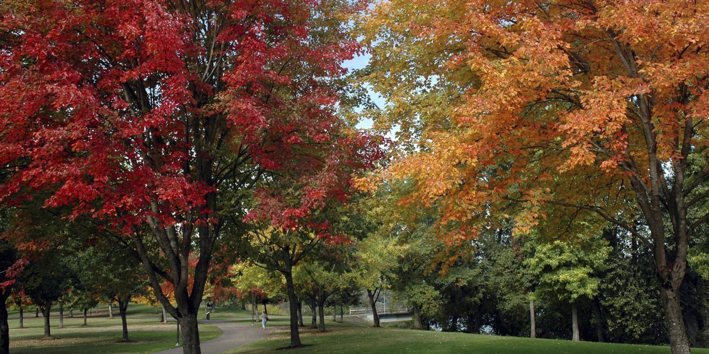 Dealing With Seasonal Changes in Workload - Planning for Busy and Quiet Periods