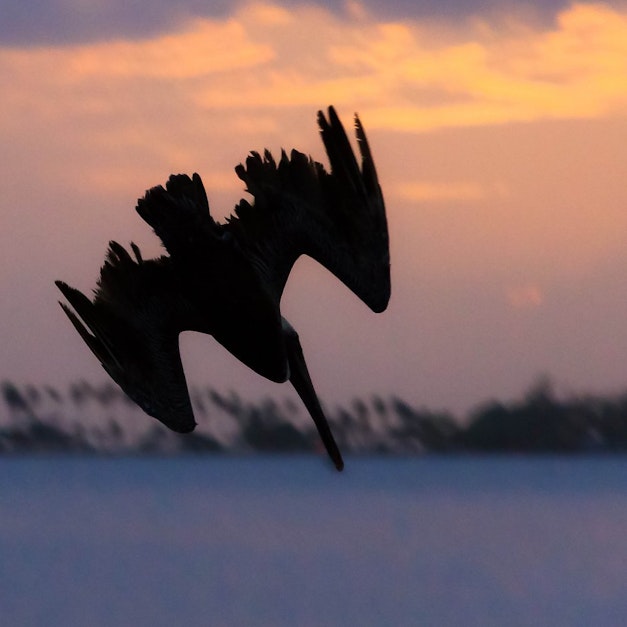 Flow Charts - Identify and Communicate Your Optimal Process