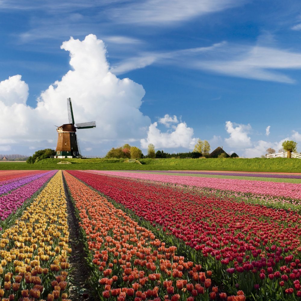 1 Holland's Personality Types and Salient Characteristics