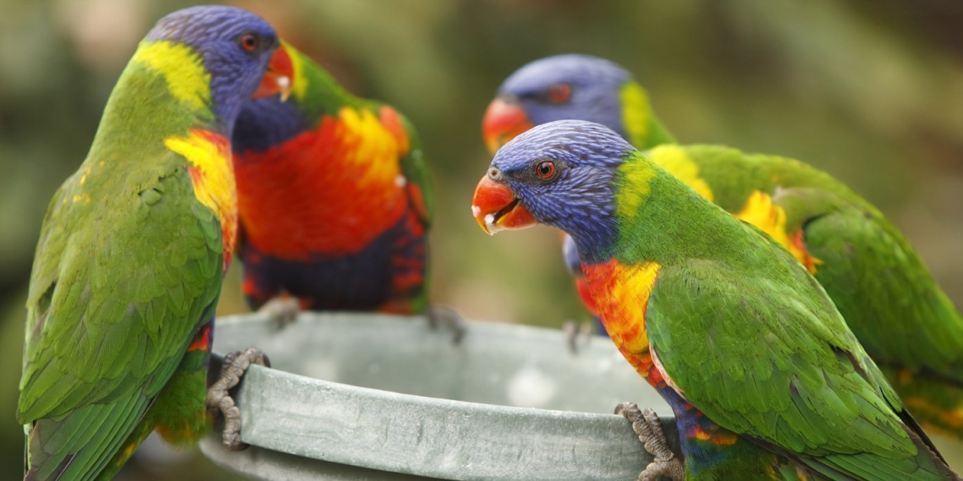 Sales Skills for Non-Salespeople - Pitching Your Idea or Product