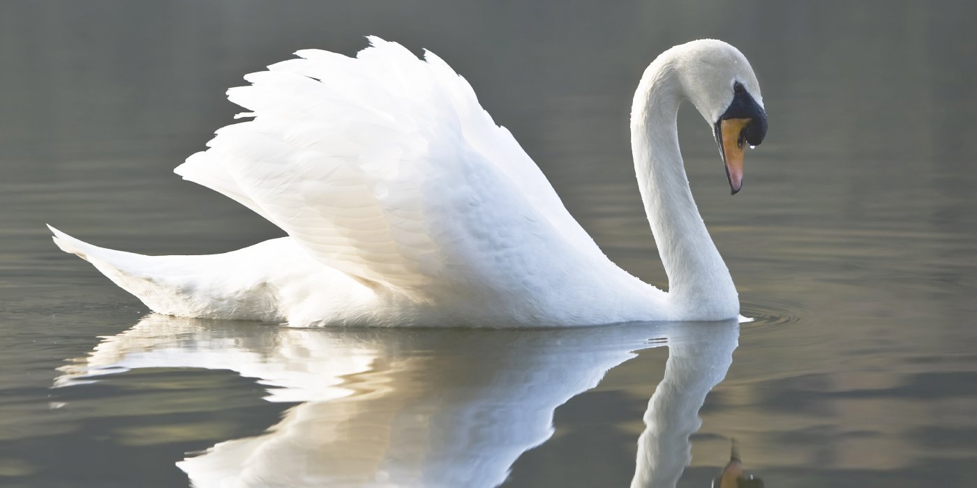 The Number/Shape Mnemonic - Remembering Simple Ordered Lists