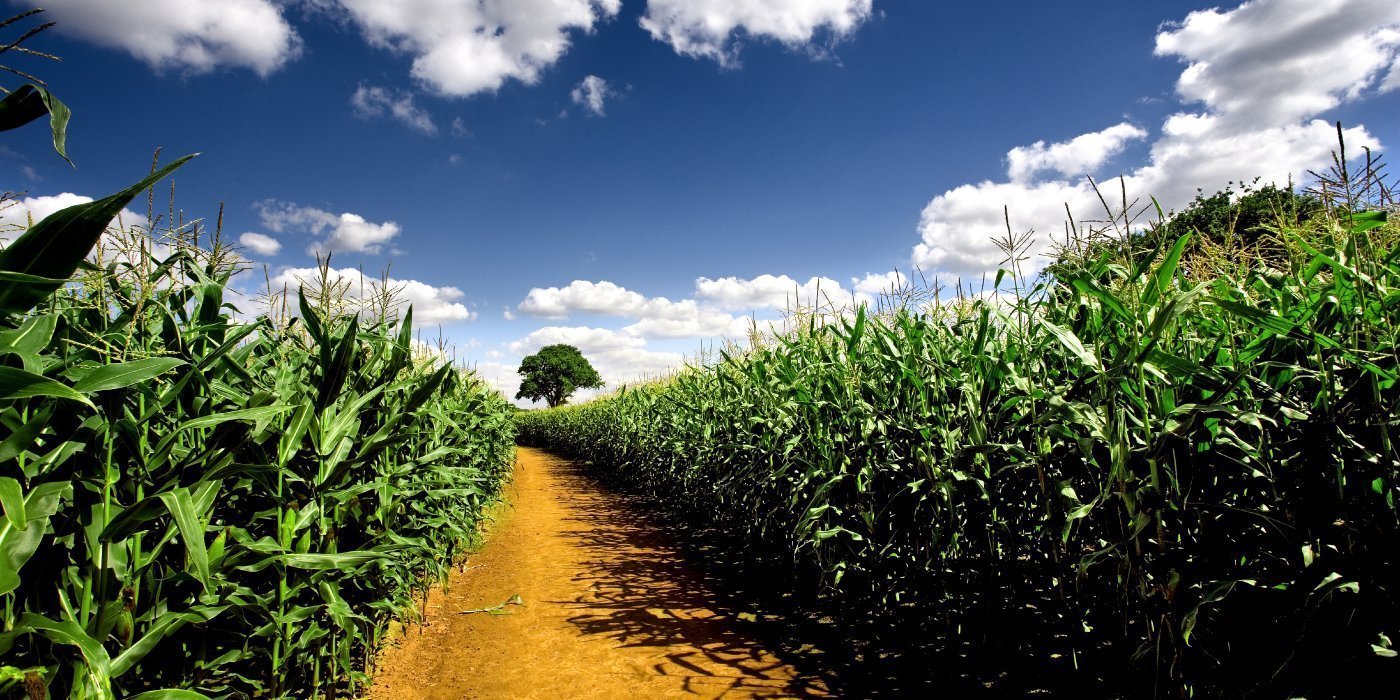 The Role Of A Facilitator Guiding An Event Through To A Successful Conclusion