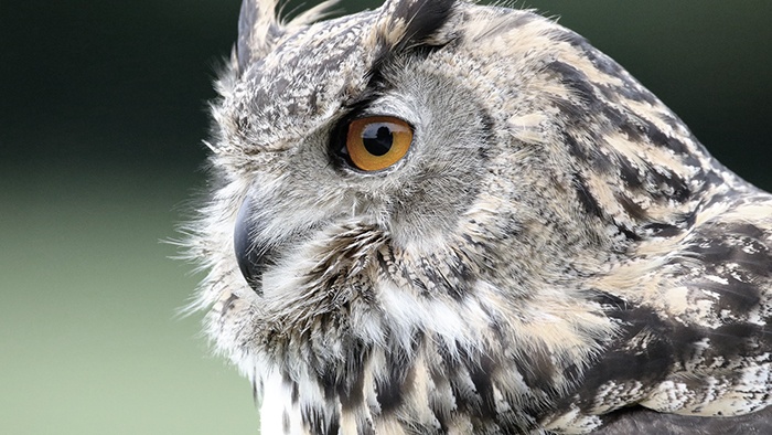 The Secrets of Effective Online Customer Service 3