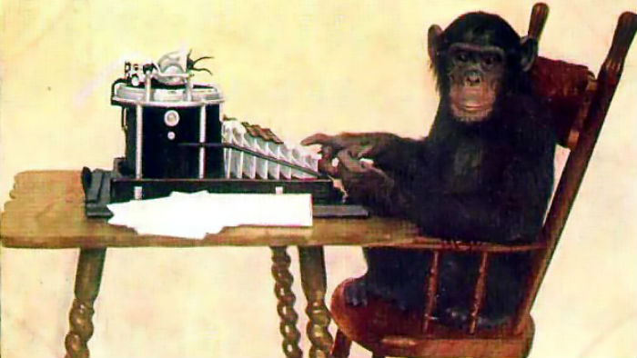 Chimpanzee typing
