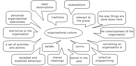 organizational behavior and culture essay