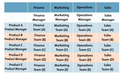 Working in a Matrix Organization - Working Effectively With Several Bosses