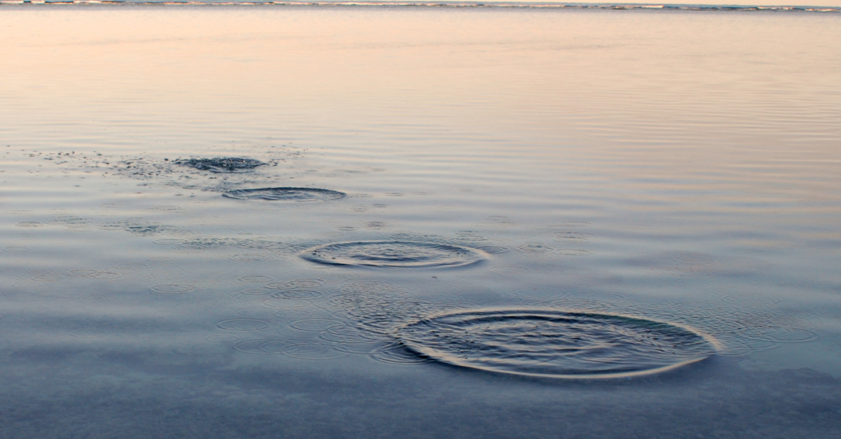 Skip-Level Meetings - Bringing Leaders and Employees Together