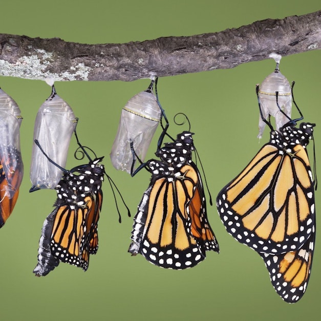 Interrelationship Diagrams - Identifying Cause and Effect Relationships