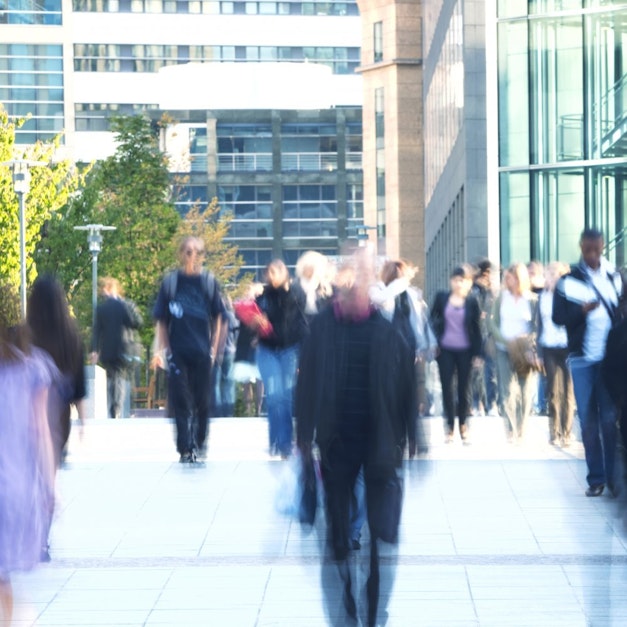 Kiss, Bow, or Shake Hands Terri Morrison