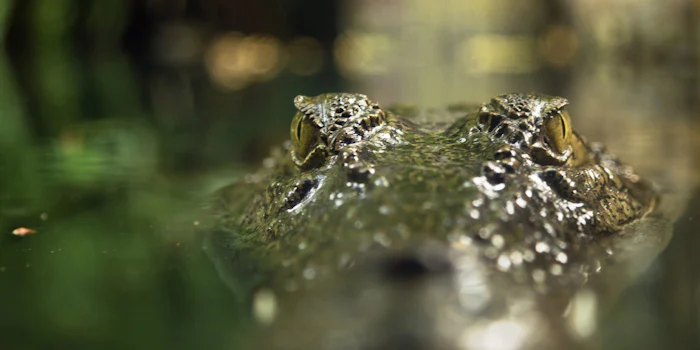 Process Decision Program Charts - Managing Risk Methodically