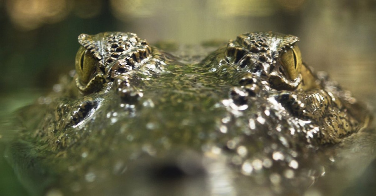 Process Decision Program Charts - Managing Risk Methodically