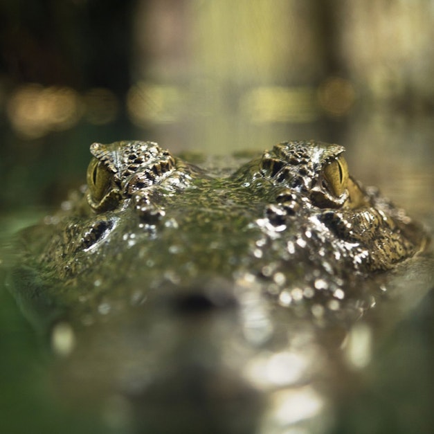 Process Decision Program Charts - Managing Risk Methodically