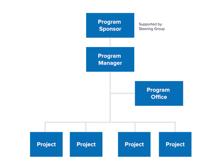Program Management - Structuring Projects as Part of a Program