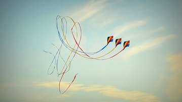 The BALM Task Allocation Model