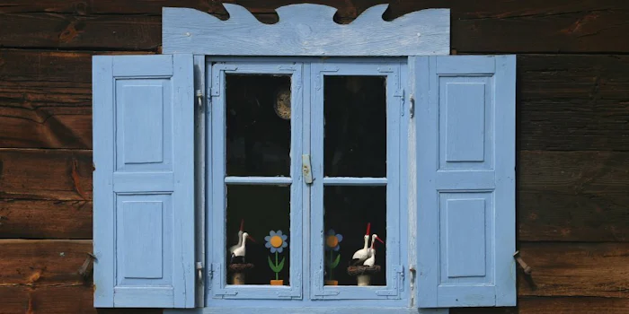 The Four Frame Approach