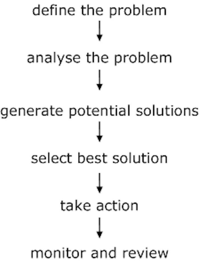 The Problem-Solving Process