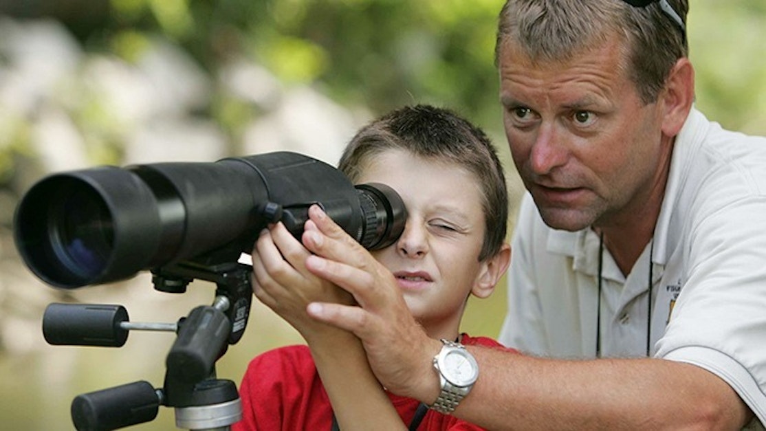 Top Tips For Mentoring top-tips-for-mentoring